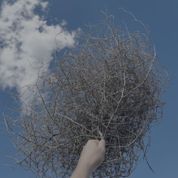 Morgan Watson, Jonathan Skinner & Christopher Watson Morgan Watson, Jonathan Skinner & Christopher Watson